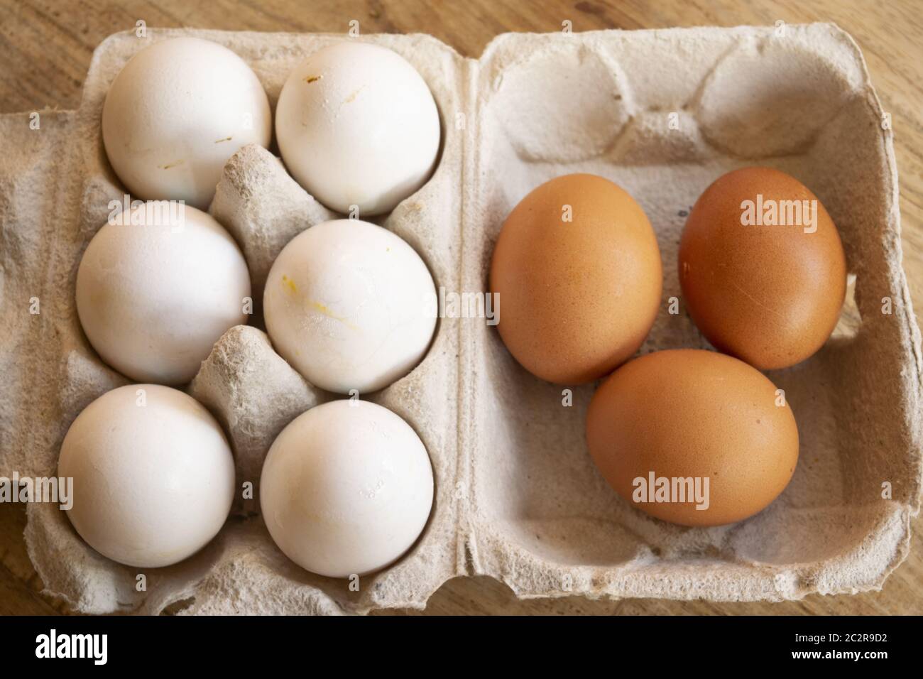 huevos orgánicos de gallinas de libre rango en las caricaturas especiales Foto de stock