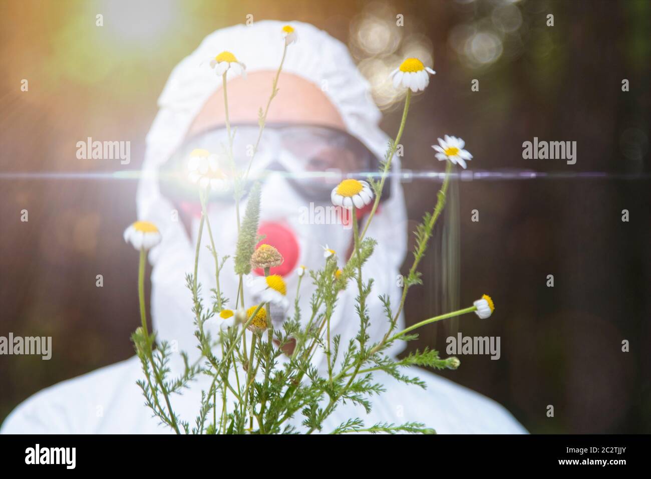 Persona con traje de seguridad y un montón de flores en un área del bosque. Foto de stock