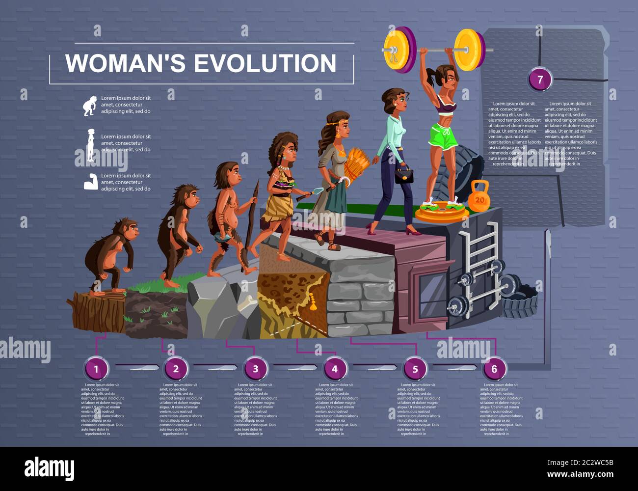 Evolución de la mujer línea de tiempo vector ilustración de dibujos  animados concepto Desarrollo femenino proceso de mono, erectus primate,  Edad de Piedra, agricultor a fas moderno Imagen Vector de stock -