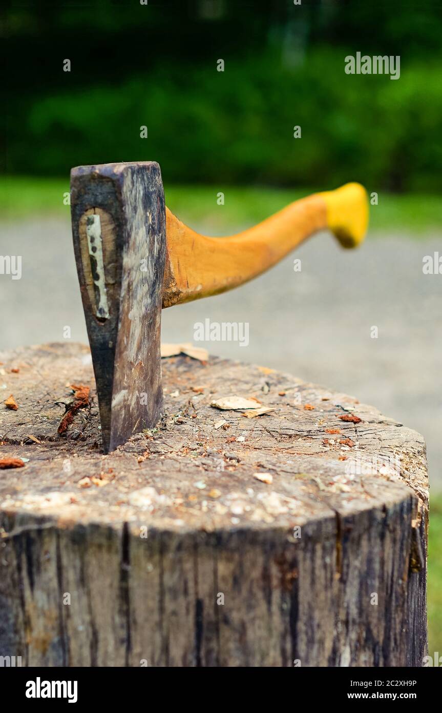 Cortando arbol con hacha fotografías e imágenes de alta resolución - Alamy