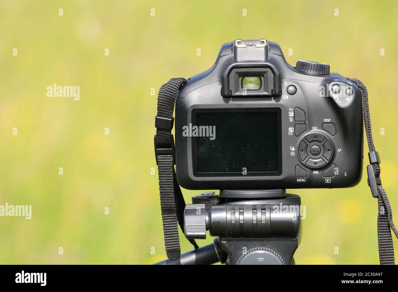 Cámara réflex digital Canon en un trípode sobre fondo verde bokeh  Fotografía de stock - Alamy