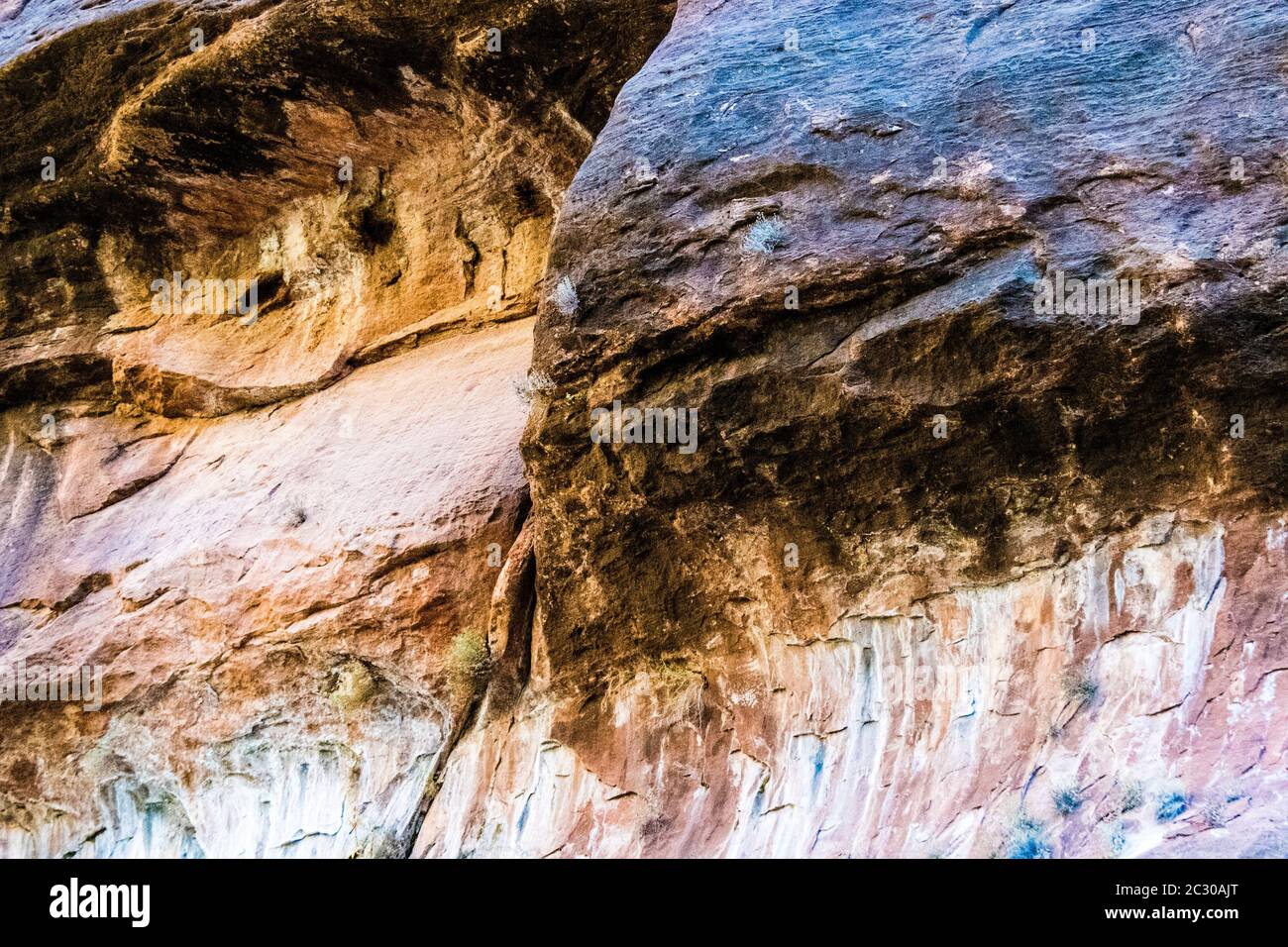Paredes de piedra arenisca de colores a lo largo de la ruta Riverside Walk en el Parque Nacional Zion, Utah, EE.UU Foto de stock