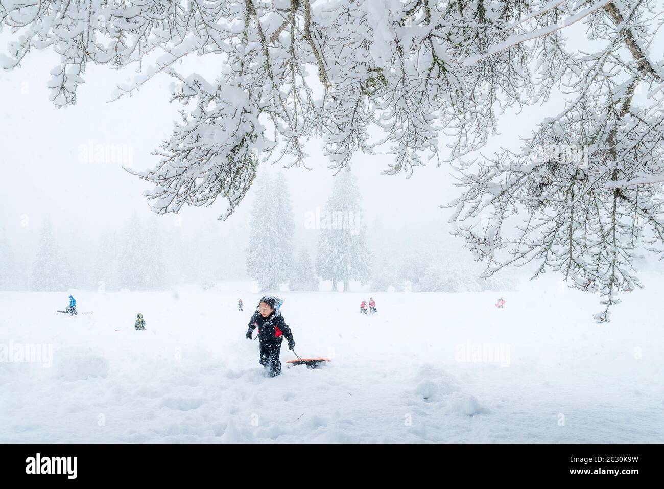 Escena de nieve. Chica con trineo, invierno, Burnaby Mountain Park, Burnaby, British Columbia, Canadá. Foto de stock