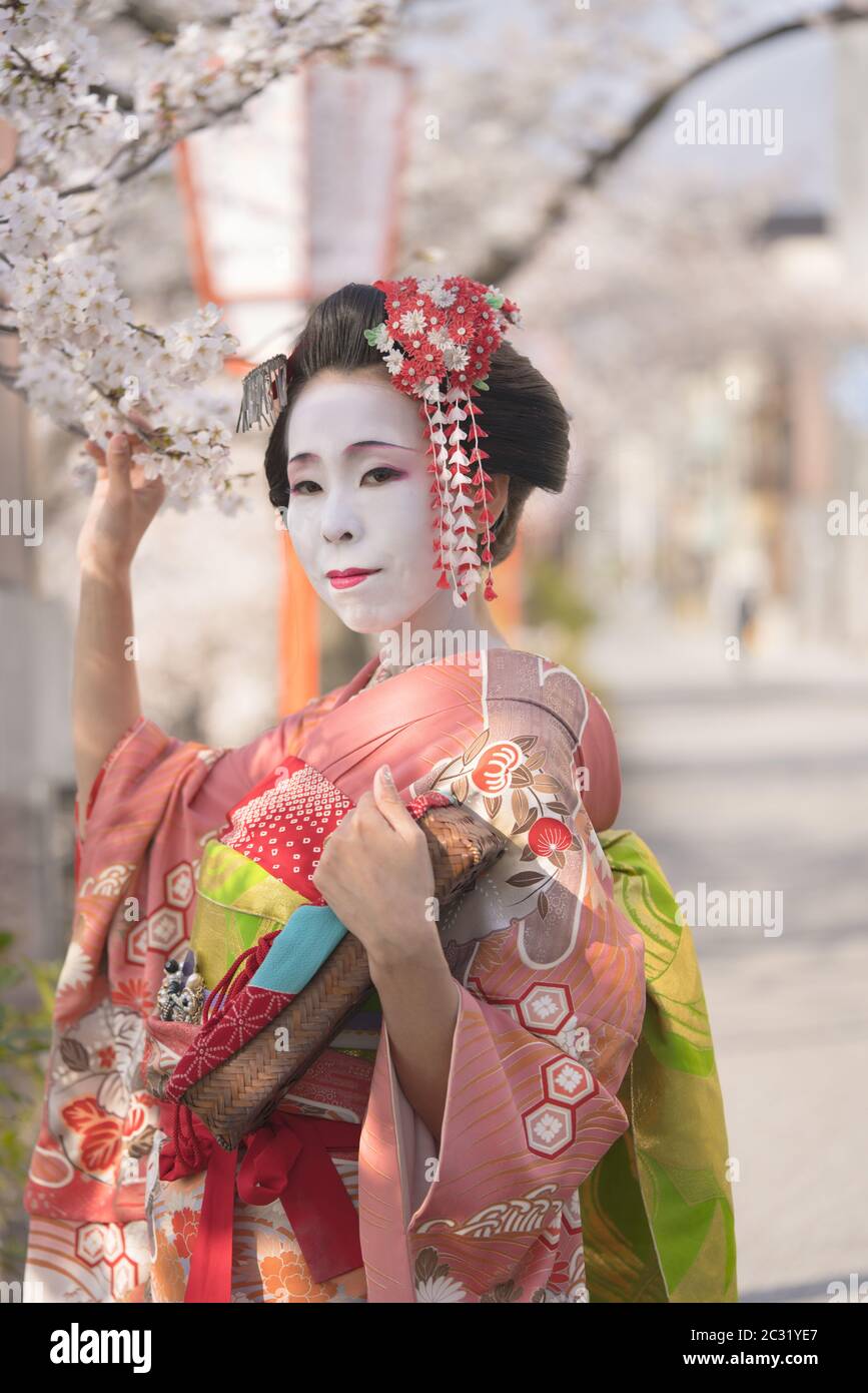 Kimono kanzashi de Maiko con pasadores y sosteniendo una rama de cerezo en el distrito Gion de Kioto. Foto de stock
