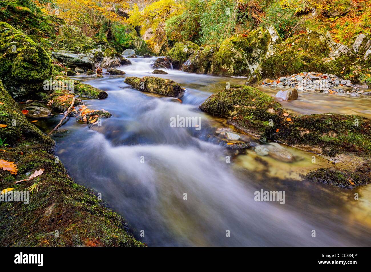 Cascadas en un arroyo de montaña con rocas moscosas en el Parque Forestal Tollymore Foto de stock