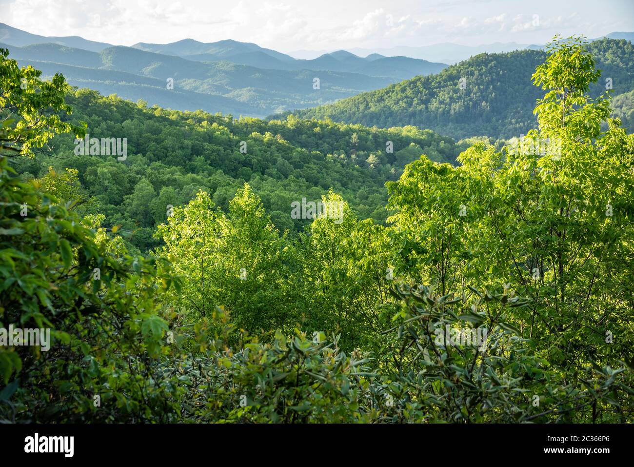 Vista de las Montañas Blue Ridge desde el Parque Estatal Black Rock Mountain en Mountain City, Georgia. (EE.UU.) Foto de stock