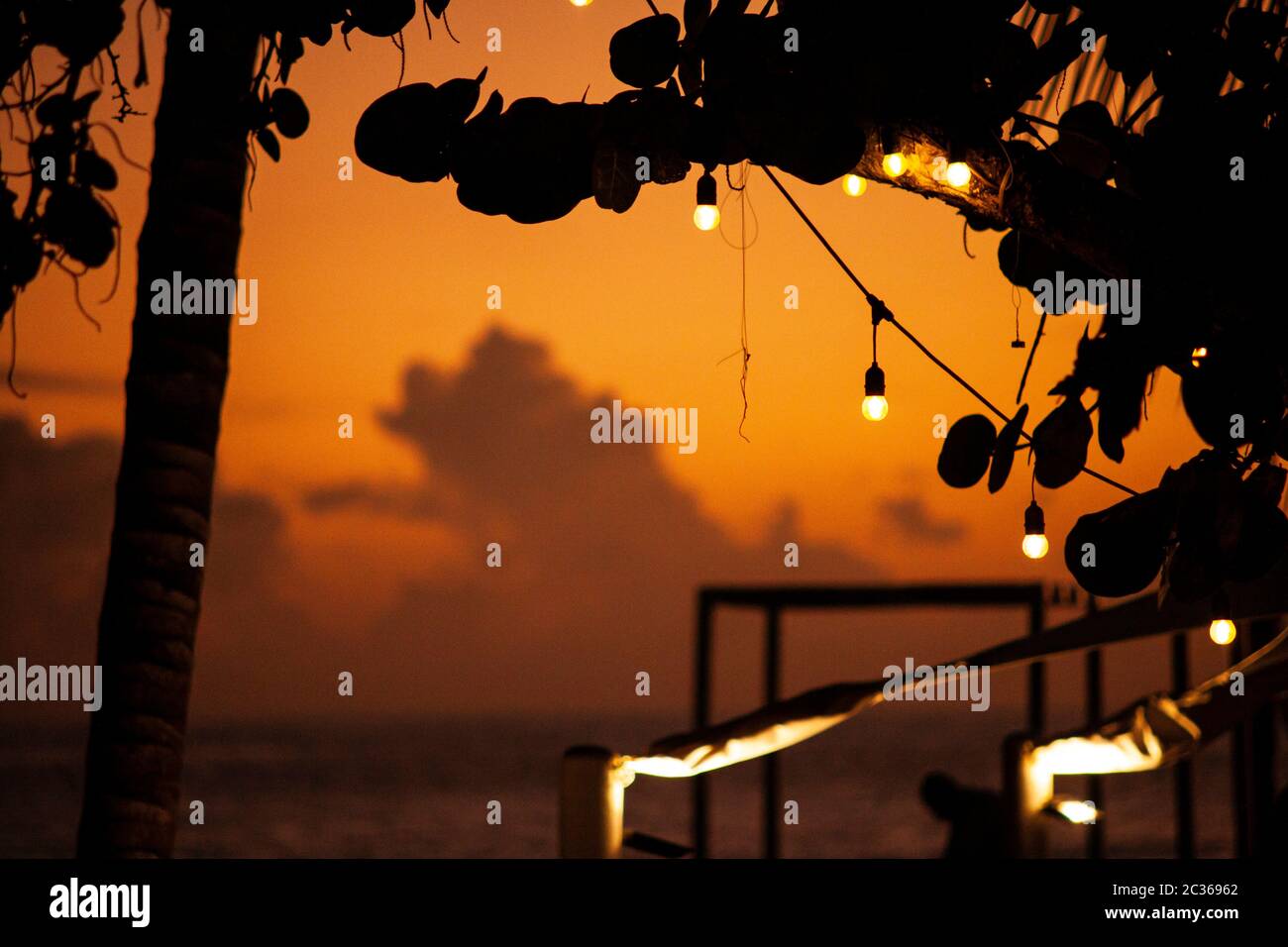 Silueta de plantas caribeñas y lámparas al atardecer en Dominicus, República Dominicana