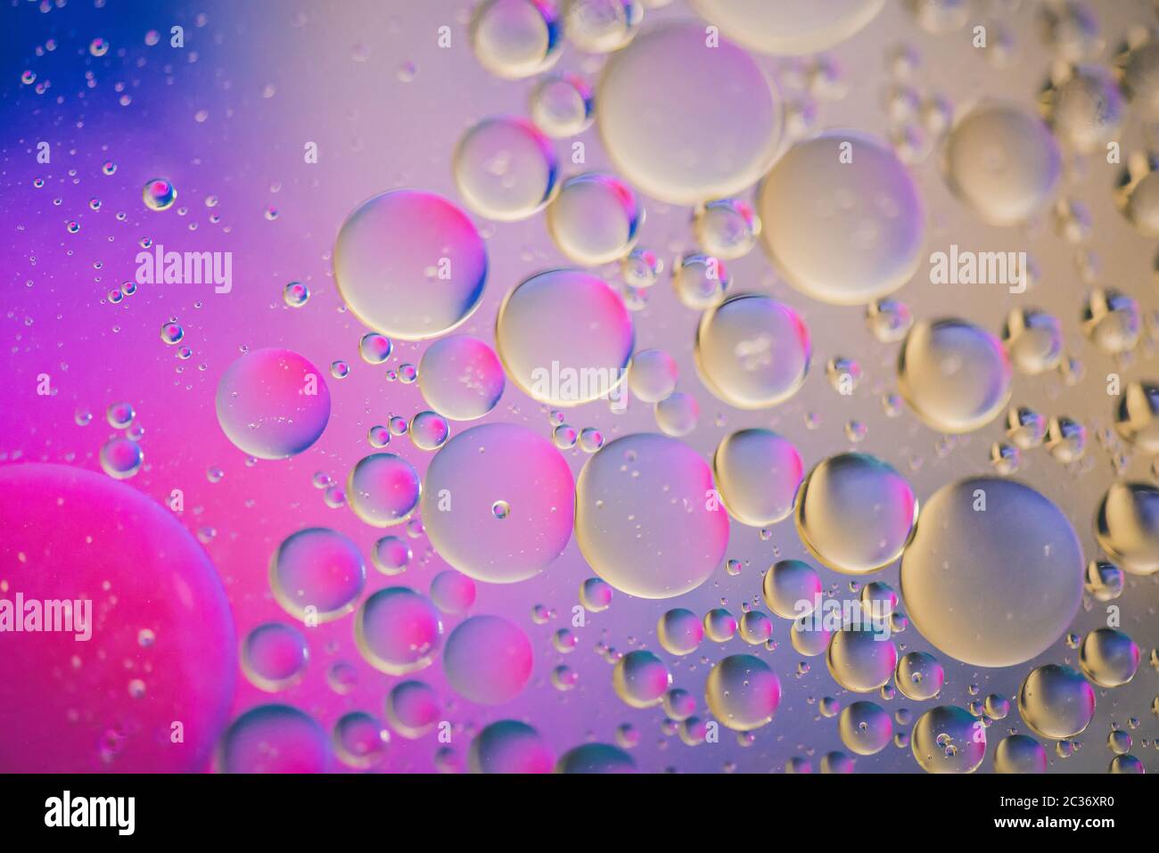 Gotas de aceite en agua. Imagen patrón psicodélico abstracto multicolor. Resumen antecedentes con coloridos colores de degradado. Dof. Foto de stock