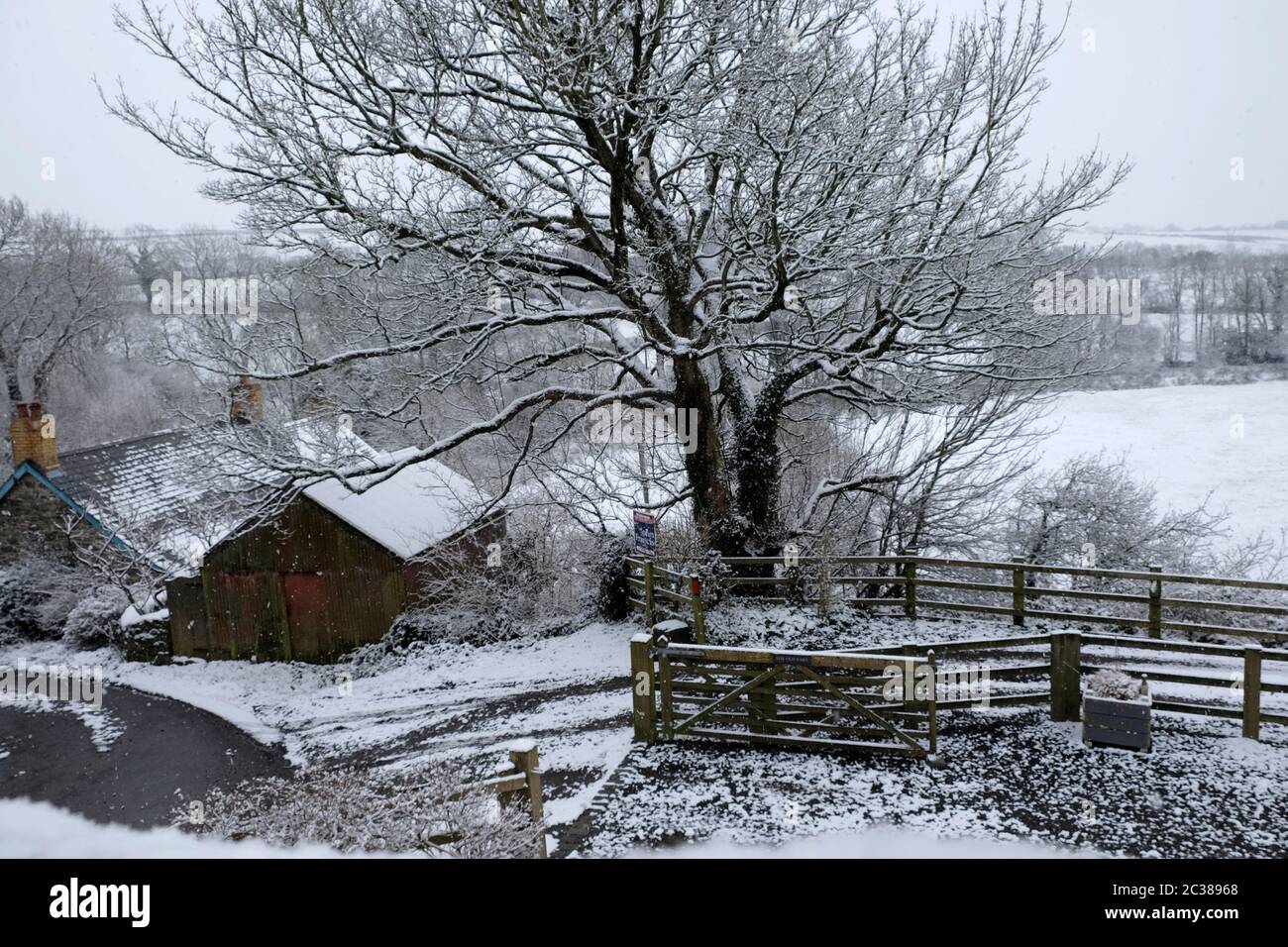 Escena de nieve en la zona agrícola, Ceredigioin, Gales del Oeste, Reino Unido Foto de stock