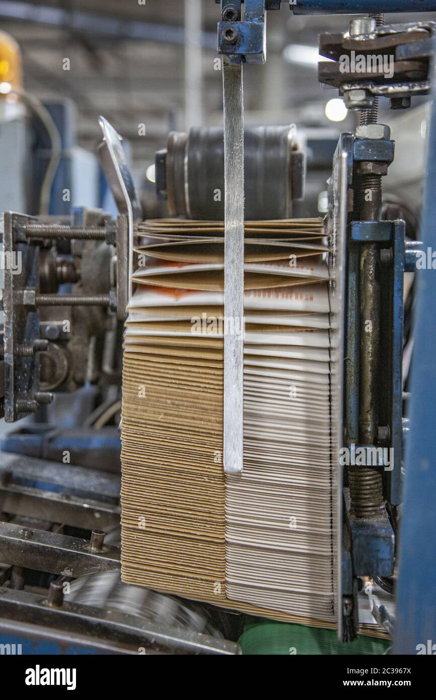 Taller industrial de la fábrica para la producción de envases de cartón Foto de stock