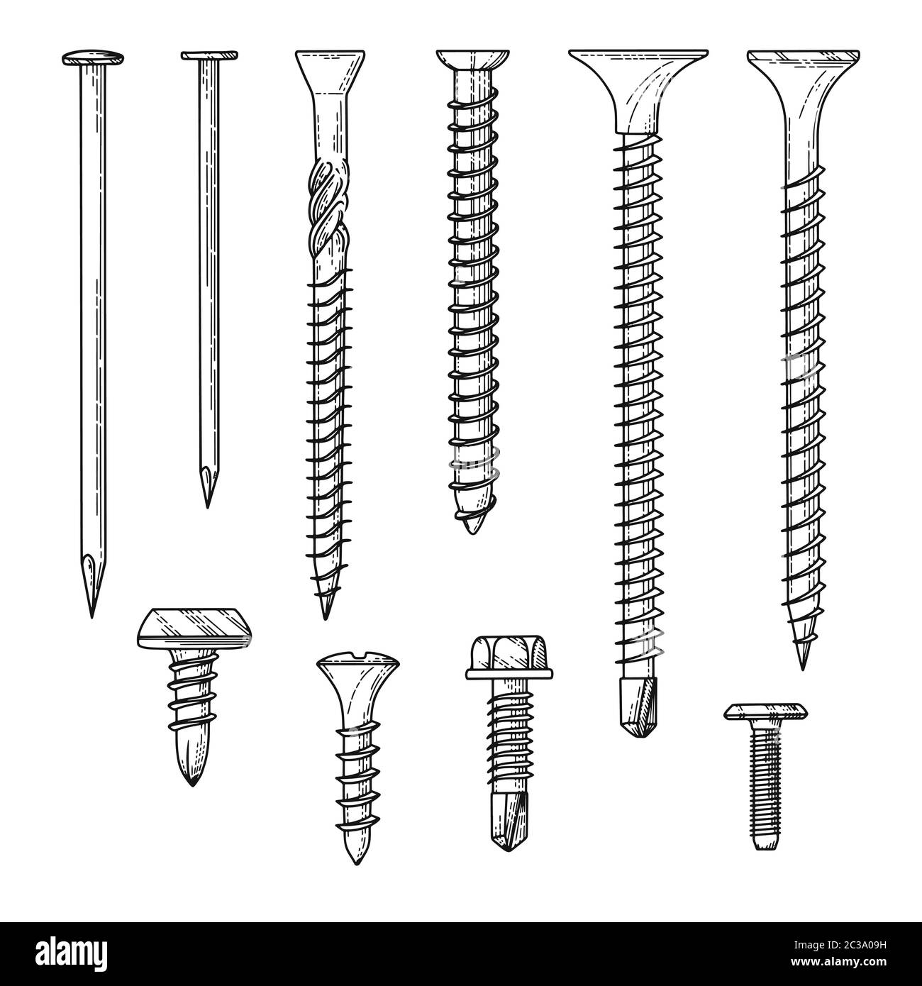 Conjunto de tornillos diferentes, clavos aislados sobre un fondo blanco.  Ilustración vectorial Imagen Vector de stock - Alamy