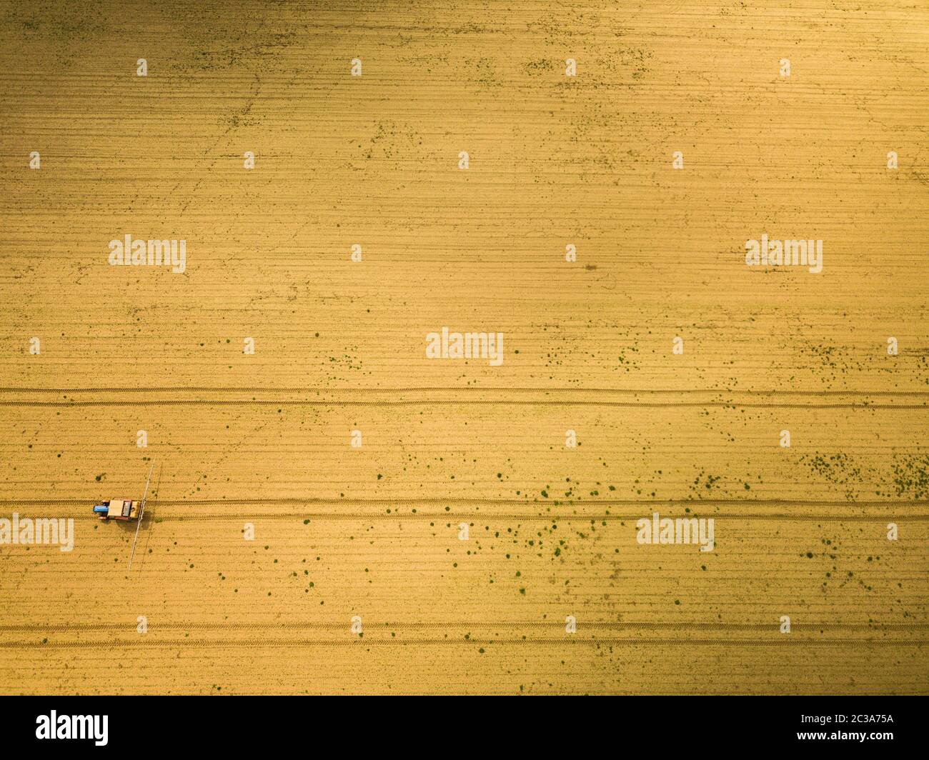 Tractor rociar los cultivos en el campo, la vista aérea de drone POV Foto de stock