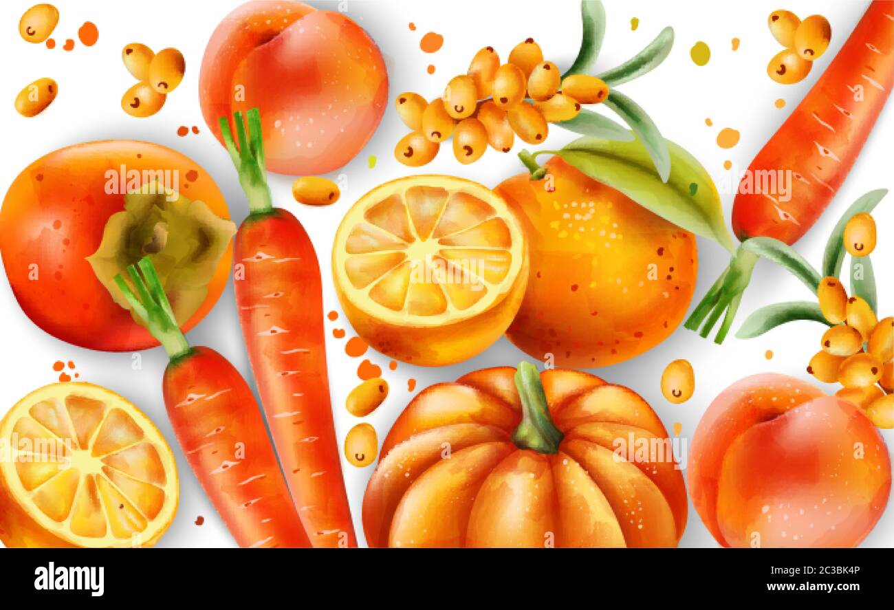 itálico estera Sesión plenaria Composición de las frutas y verduras de color naranja. Naranjas,  zanahorias, calabaza, duraznos y bayas de piracantha. Vector Imagen Vector  de stock - Alamy