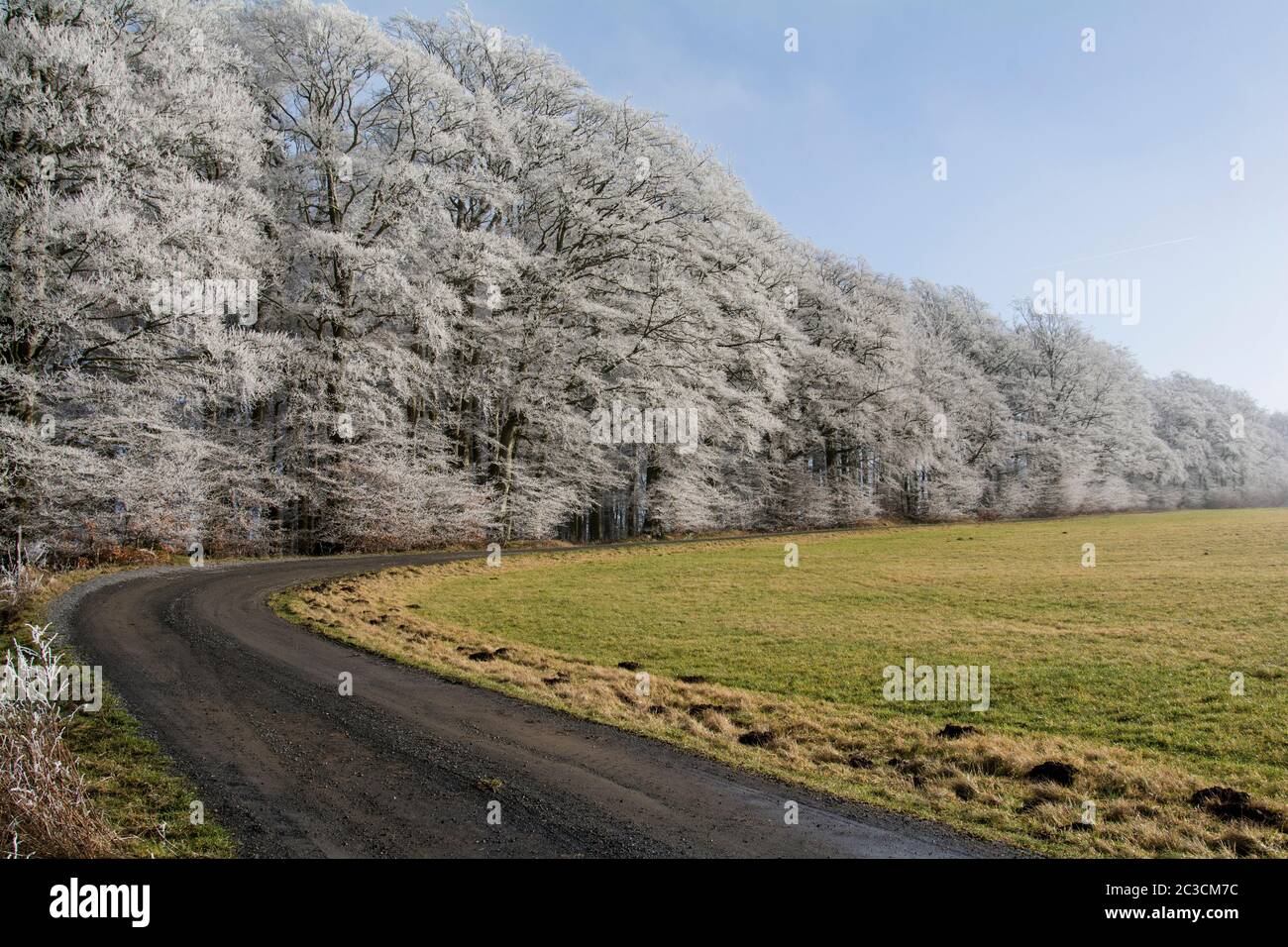 Frío invierno en el Eifel en Alemania Foto de stock