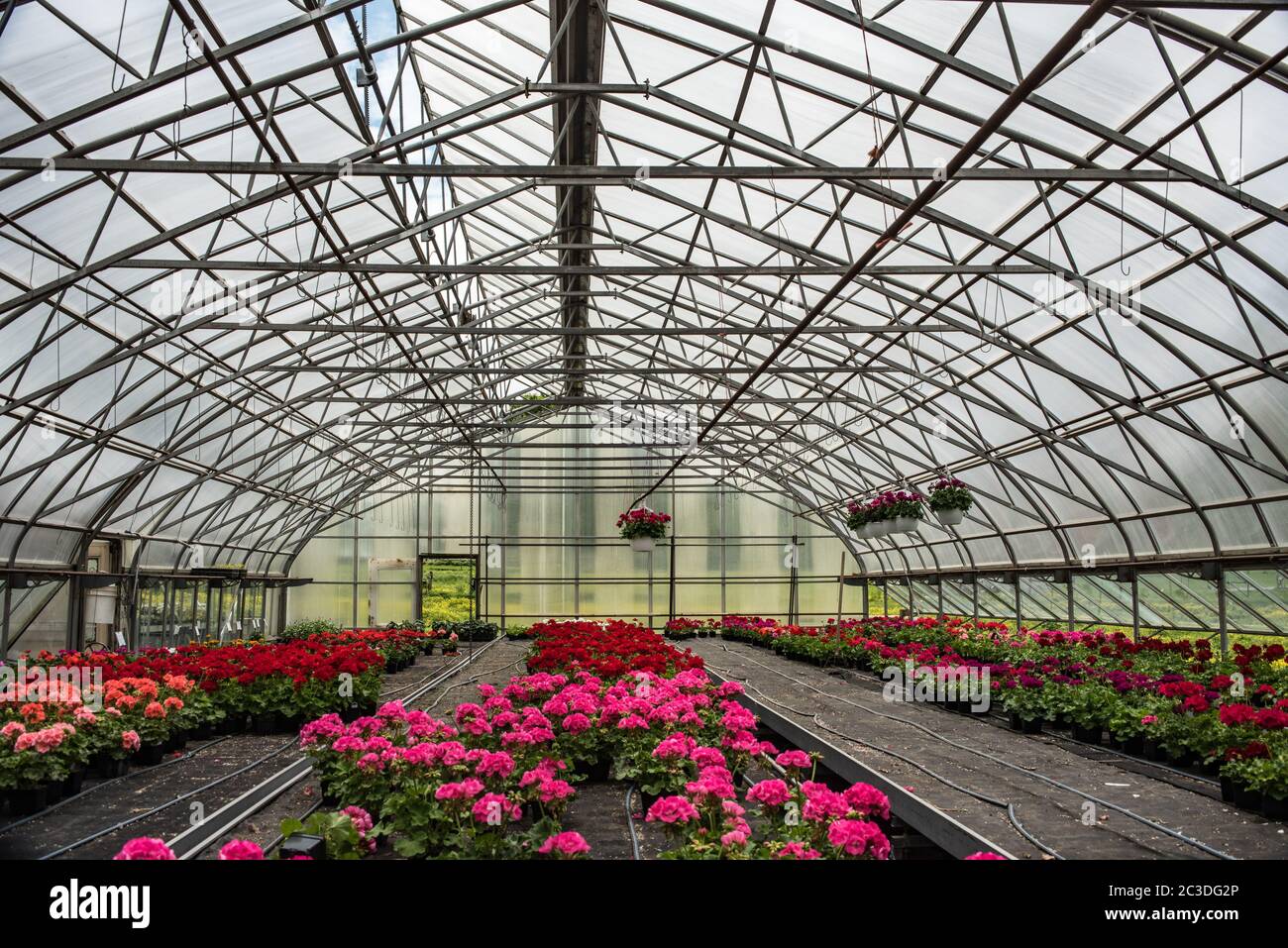 Pequeño patio de estilo inglés con jardín de flores. Foto de stock