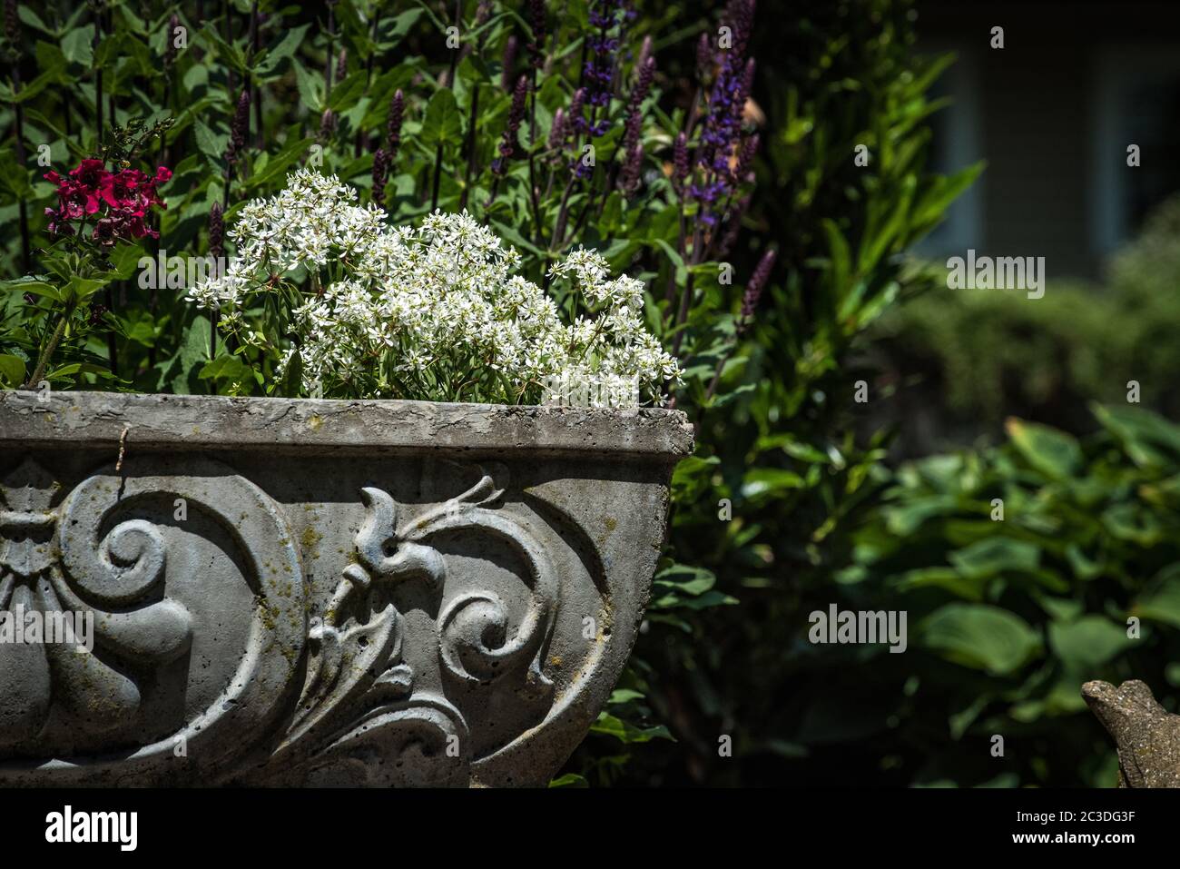 Pequeño patio de estilo inglés con jardín de flores. Foto de stock