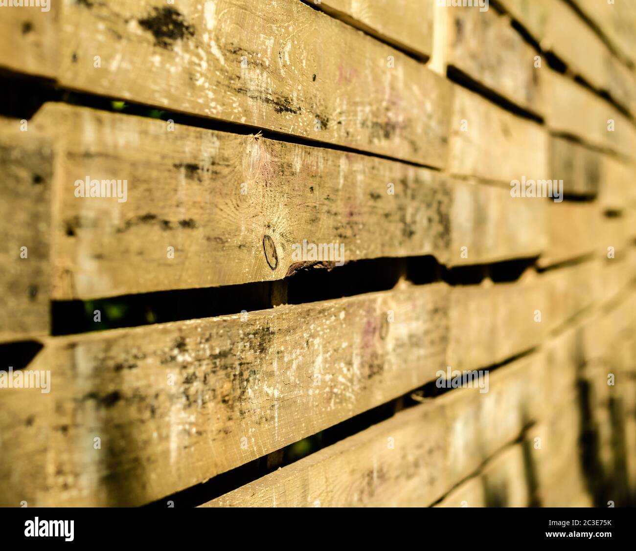 La textura de la superficie de la madera Foto de stock