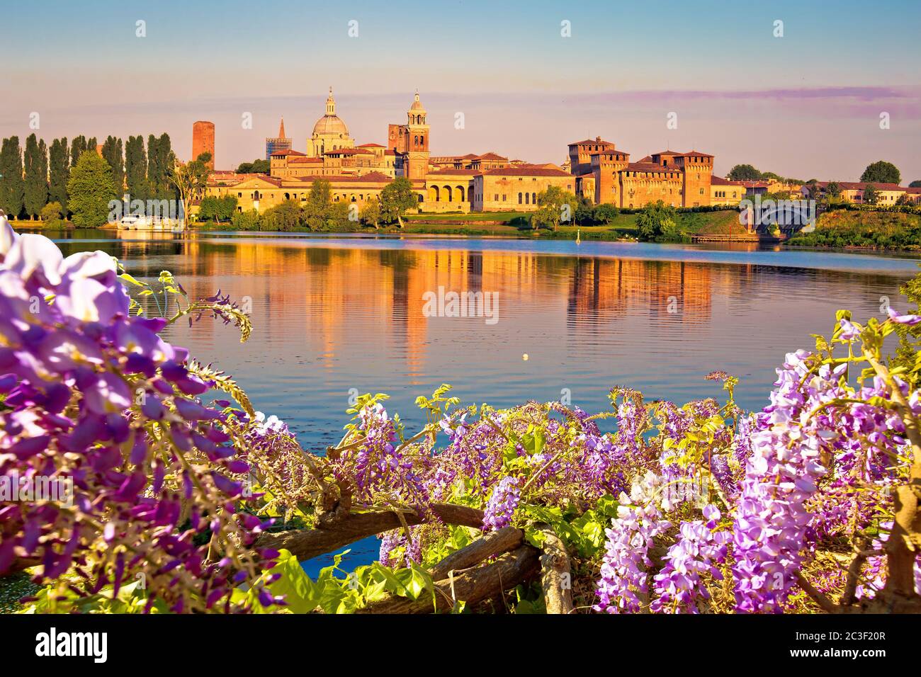Ciudad de Mantova horizonte temprano por la mañana vista a través de las flores desde el lago Inferiore Foto de stock