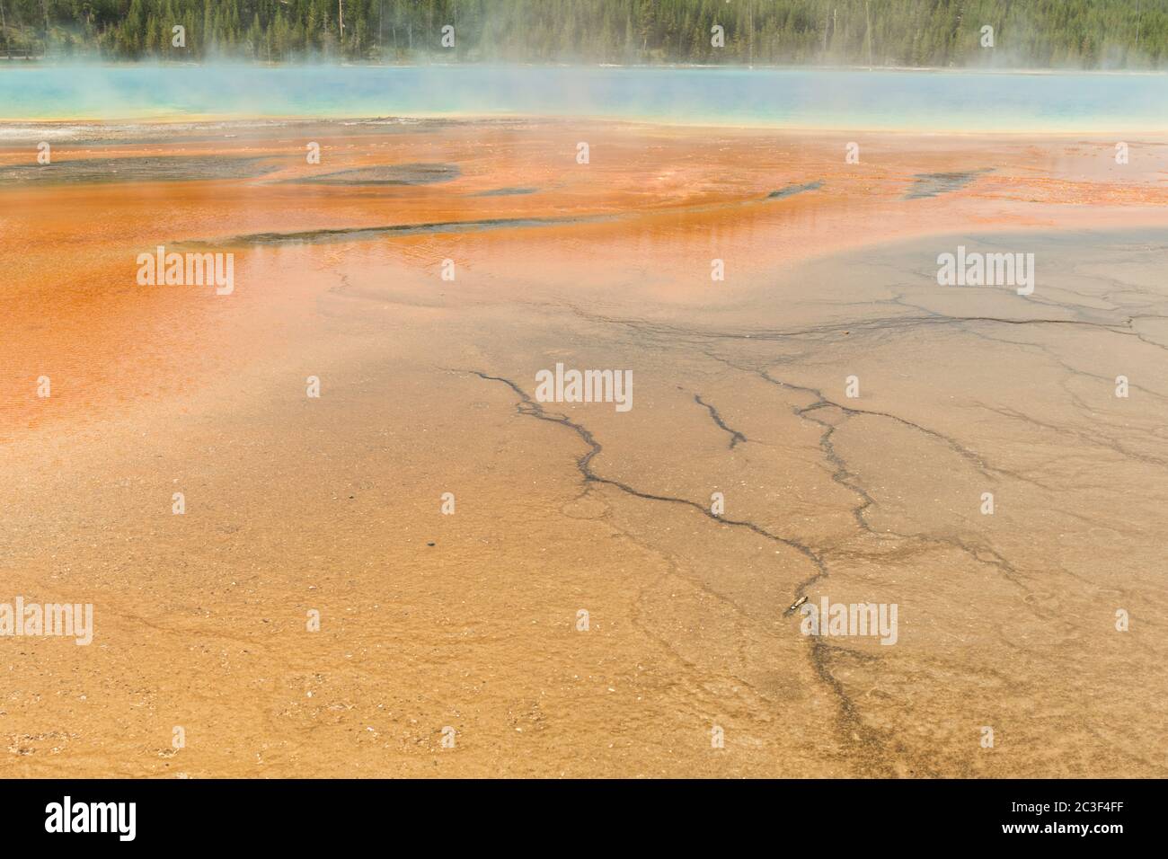 Alfombras de cianobacterias coloridas rodean el Grand Prismatic Spring, el manantial termal más grande del Parque Nacional Yellowstone y el tercero más grande del mundo. Grand Prismatic tiene aproximadamente 250 por 300 pies de tamaño, un promedio de 160 grados Fahrenheit y tiene hasta 160 pies de profundidad. Los colores brillantes alrededor de la primavera son de microorganismos que crecen en el escurrimiento de agua caliente. El Grand Prismatic Spring es parte del Grupo Midway Geyser Basin Excelsior en Yellowstone, Wyoming. Foto de stock