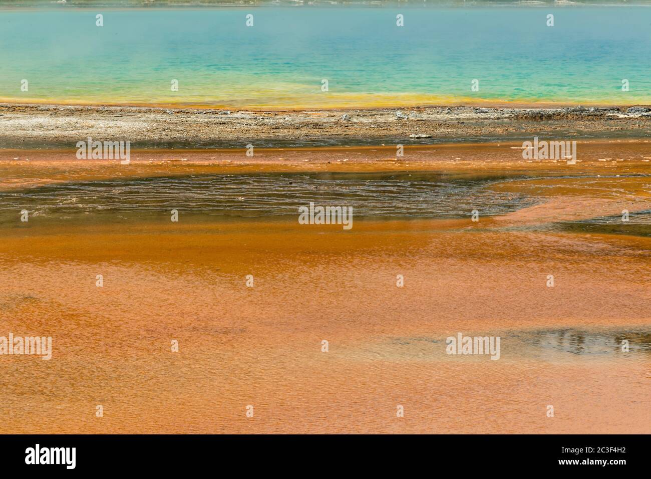 Alfombras de cianobacterias coloridas rodean el Grand Prismatic Spring, el manantial termal más grande del Parque Nacional Yellowstone y el tercero más grande del mundo. Grand Prismatic tiene aproximadamente 250 por 300 pies de tamaño, un promedio de 160 grados Fahrenheit y tiene hasta 160 pies de profundidad. Los colores brillantes alrededor de la primavera son de microorganismos que crecen en el escurrimiento de agua caliente. El Grand Prismatic Spring es parte del Grupo Midway Geyser Basin Excelsior en Yellowstone, Wyoming. Foto de stock
