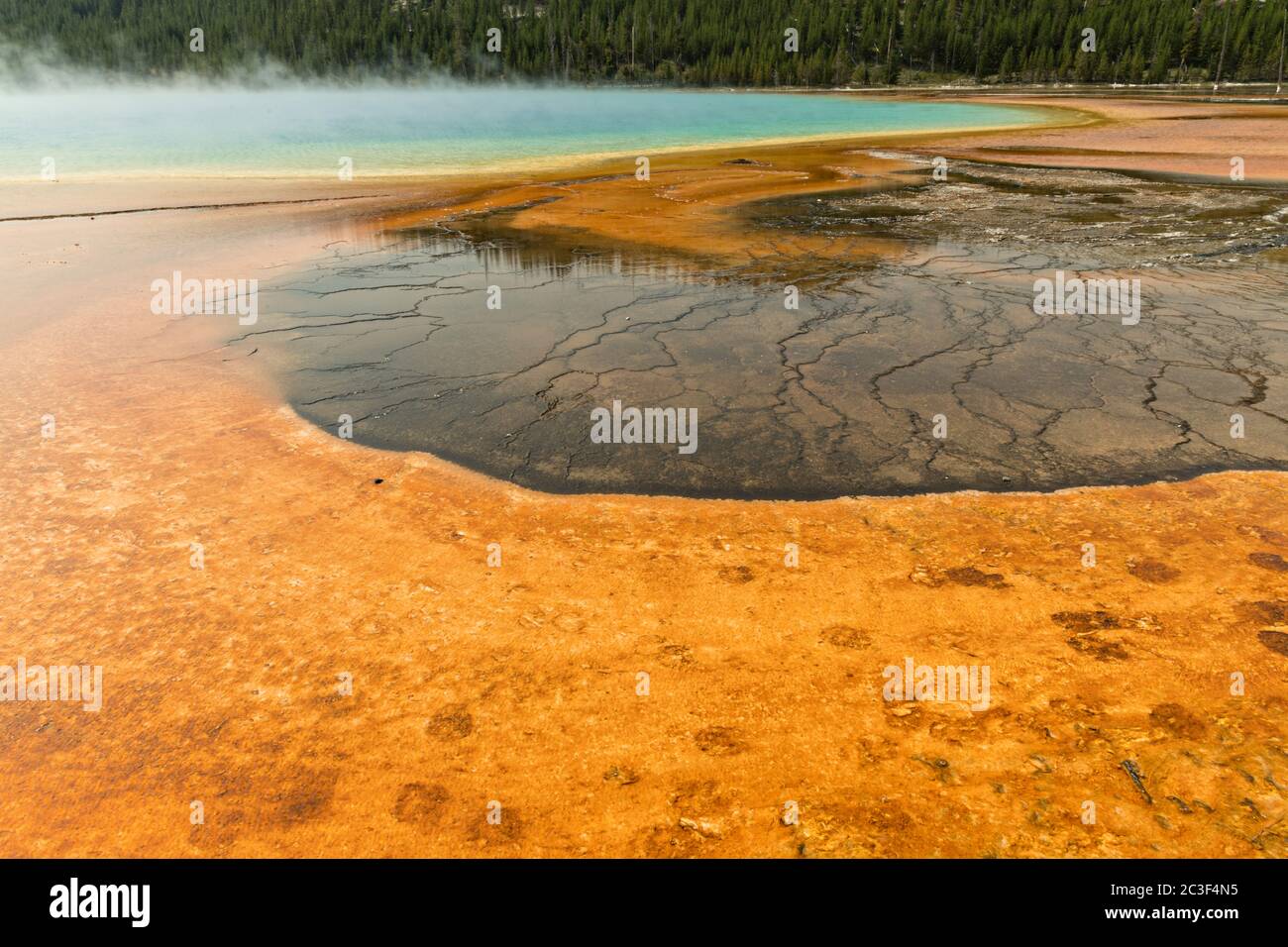 Alfombras de cianobacterias coloridas rodean el Grand Prismatic Spring, el manantial termal más grande del Parque Nacional Yellowstone y el tercero más grande del mundo. Grand Prismatic tiene aproximadamente 250 por 300 pies de tamaño, un promedio de 160 grados Fahrenheit y tiene hasta 160 pies de profundidad. Los colores brillantes alrededor de la primavera son de microorganismos que crecen en el escurrimiento de agua caliente. El Grand Prismatic Spring es parte del Grupo Midway Geyser Basin Excelsior en Yellowstone, Wyoming. Foto de stock