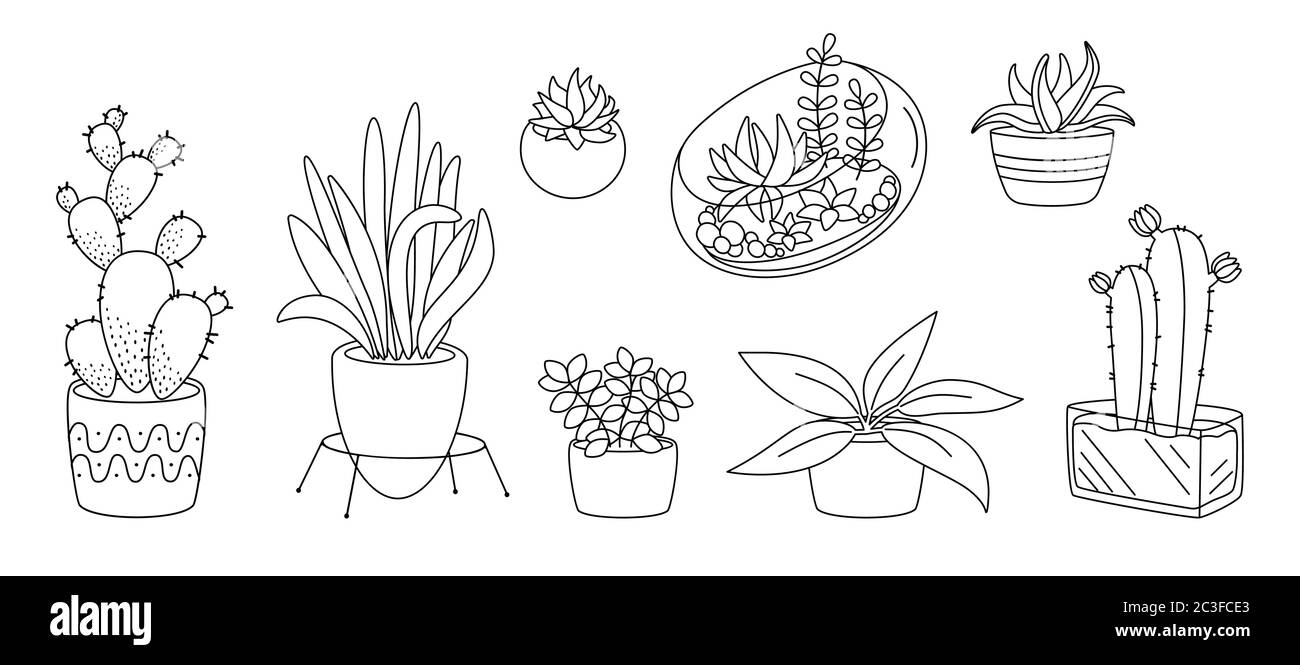 Planta Y Suculentas Ceramica Maceta Linea Plana Negro Lineal De Dibujos Animados Casa De Flores Interiores Plantas De La Casa Cactus Maceta De Monstera Coleccion De Decoracion De Casa De Moda Ilustracion