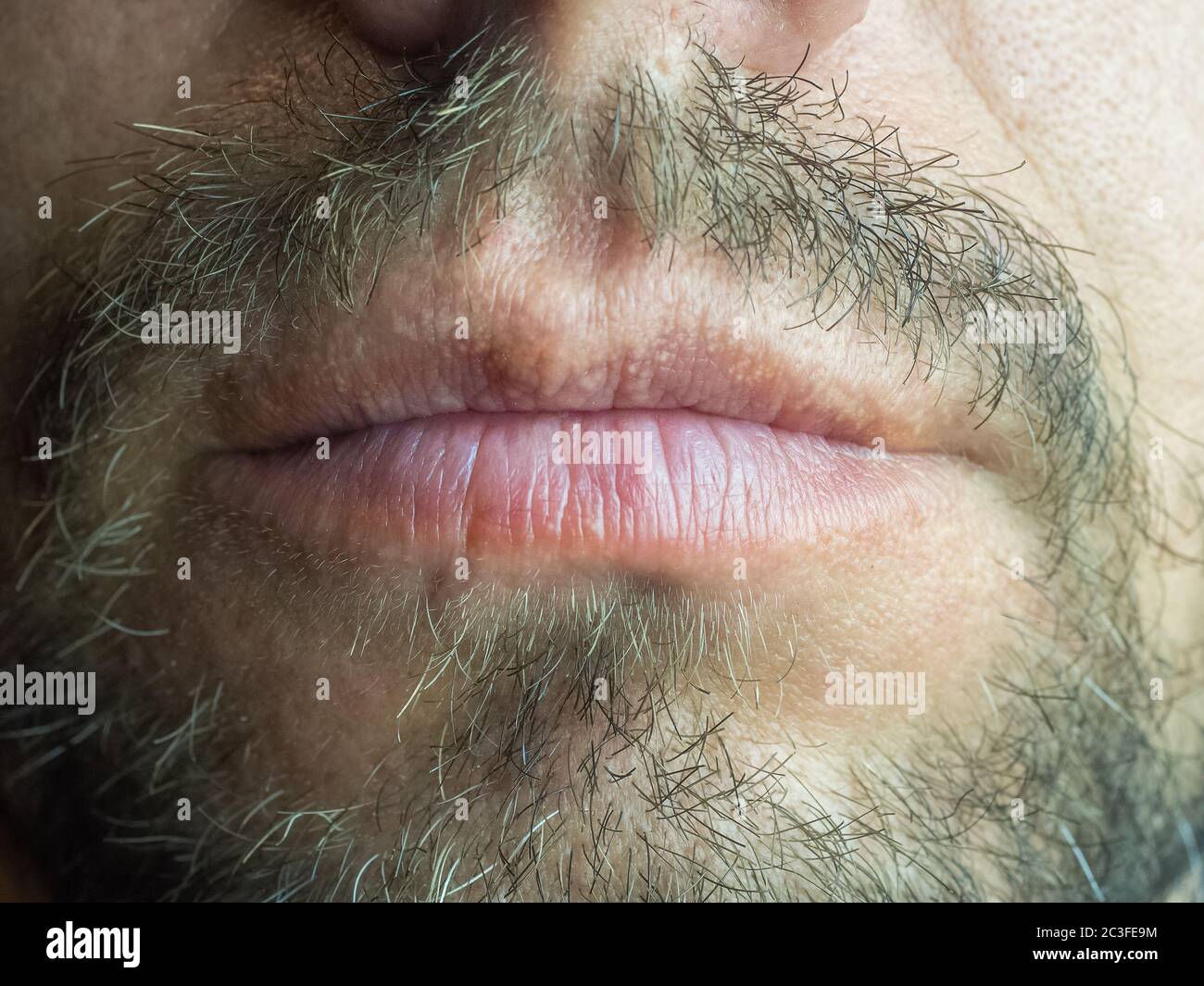 Foto de primer plano de la parte inferior de los labios y la barba de la cara masculina Foto de stock