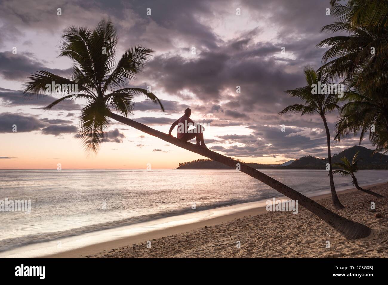 Un beachcomber descansa por un momento para disfrutar del espectacular amanecer desde un maravilloso mirador en lo alto de una palma de coco en Clifton Beach, Queensland. Foto de stock