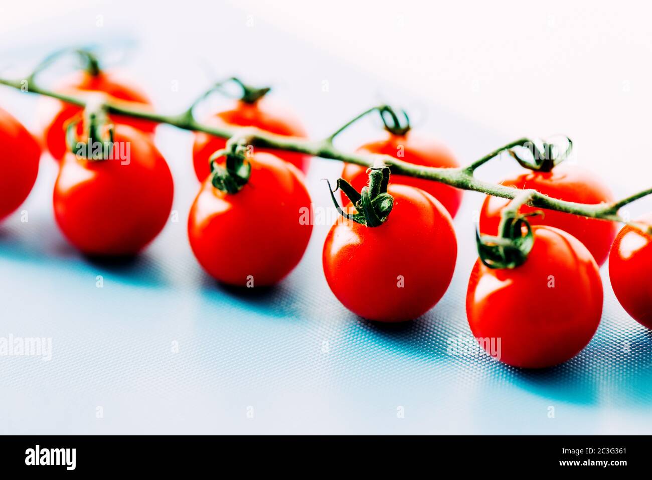 Tomates cherry maduros en la vid Foto de stock