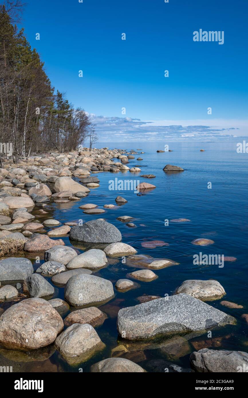 Piedras en agua azul clara del lago. Lago Ladoga, Rusia. Foto de stock