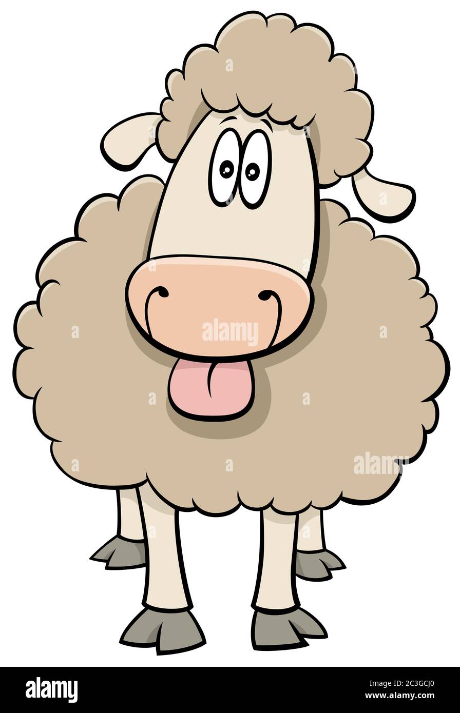 divertido dibujo animado ovejas granja carácter animal Fotografía de stock  - Alamy
