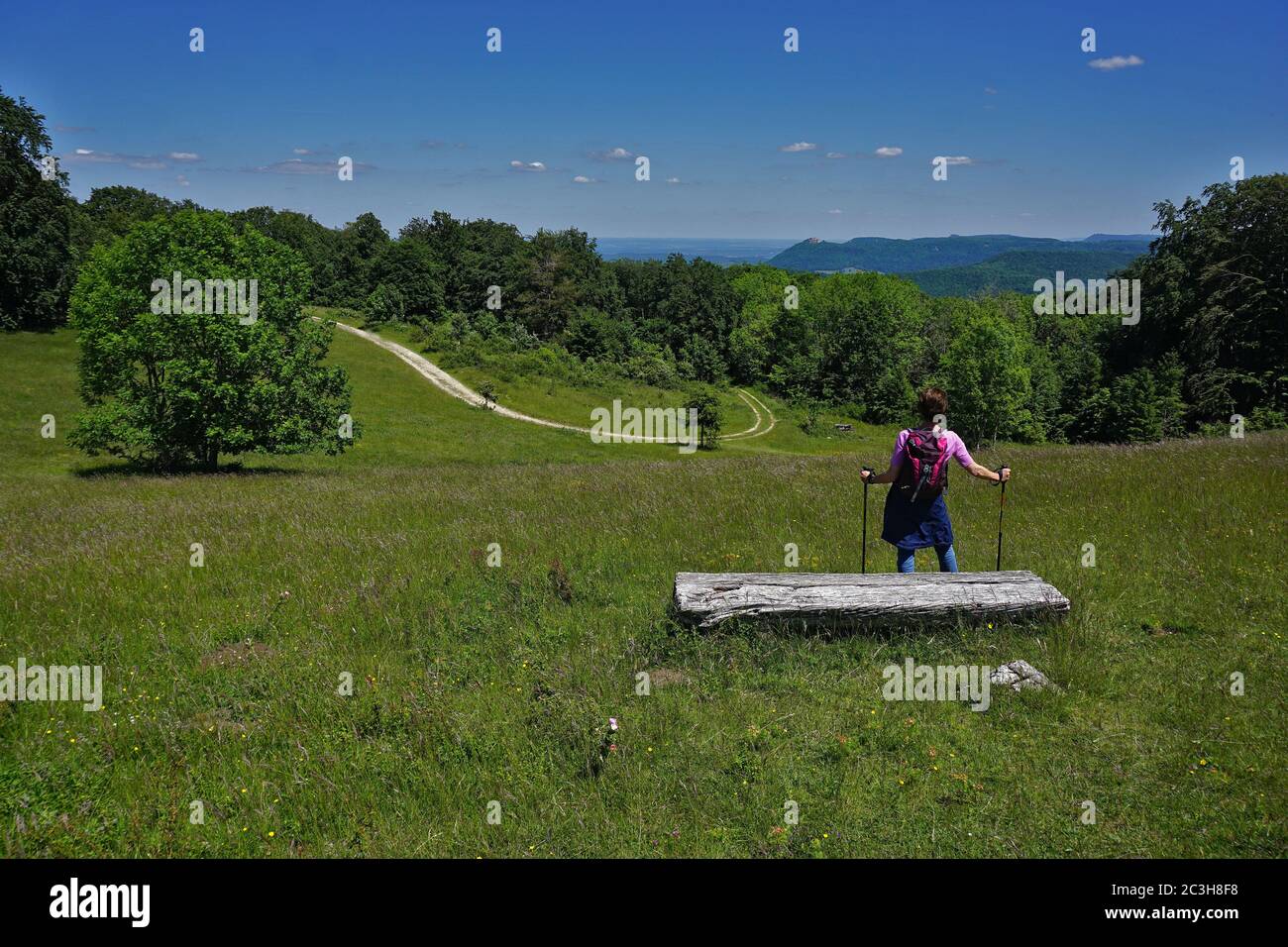 Ala swabian, paisaje un senderismo, vista al castillo Hohenneuffen Foto de stock
