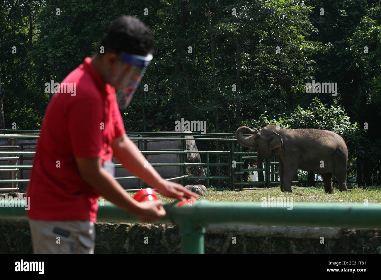 Los oficiales que usan máscaras y escudos están poniendo marcadores cruzados para mantener la distancia entre los visitantes en Ragunan Wildlife Park, Yakarta, sábado, 20 de junio de 2020. En la tercera semana de la fase de apertura de la primera fase de las nuevas restricciones Sociales normales o transitorias a gran escala (PSBB) se han reabierto varias zonas de recreo y zoológicos de la capital de Yakarta. Pero el Parque de vida Silvestre Ragunan limita el número de visitantes a 1000 personas por día, con la implementación de estrictos protocolos de salud. (Foto de Kuncoro Widyo Rumpoko/Pacific Press) Foto de stock