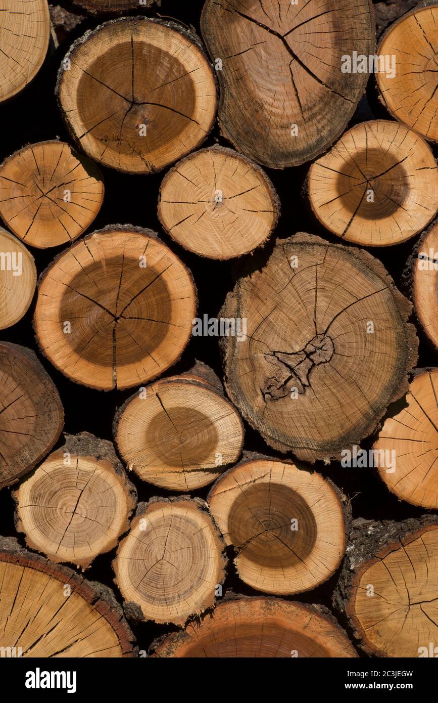 Pila de madera, pila de madera, Italia Foto de stock