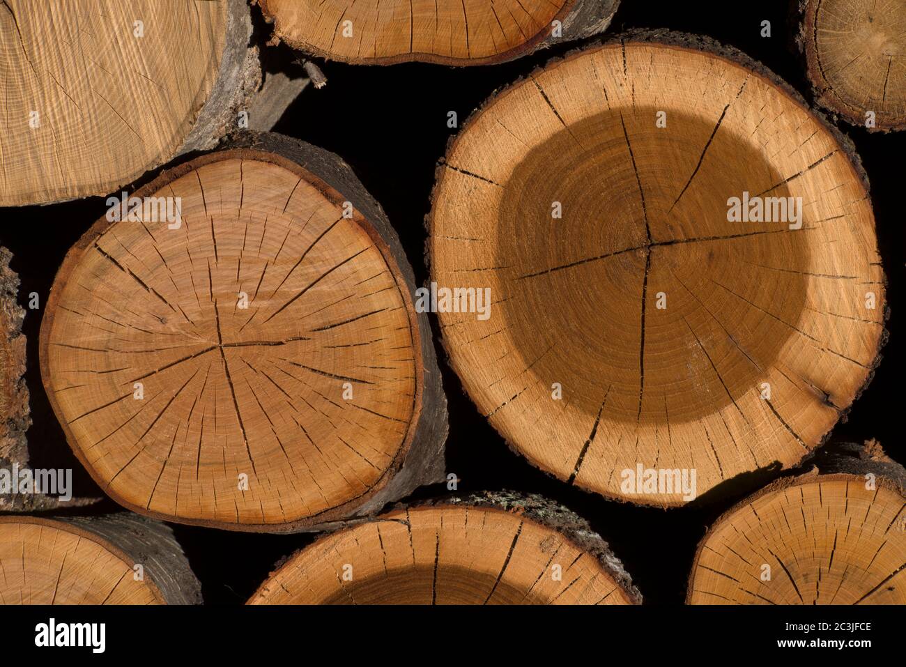 Pila de madera, pila de madera, Italia Foto de stock