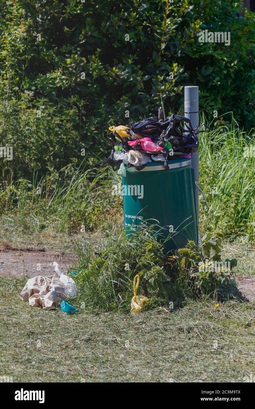 Eliminación De Bolsas De Caca De Perro En Un Contenedor Verde Foto de  archivo - Imagen de compartimiento, parcial: 199141222