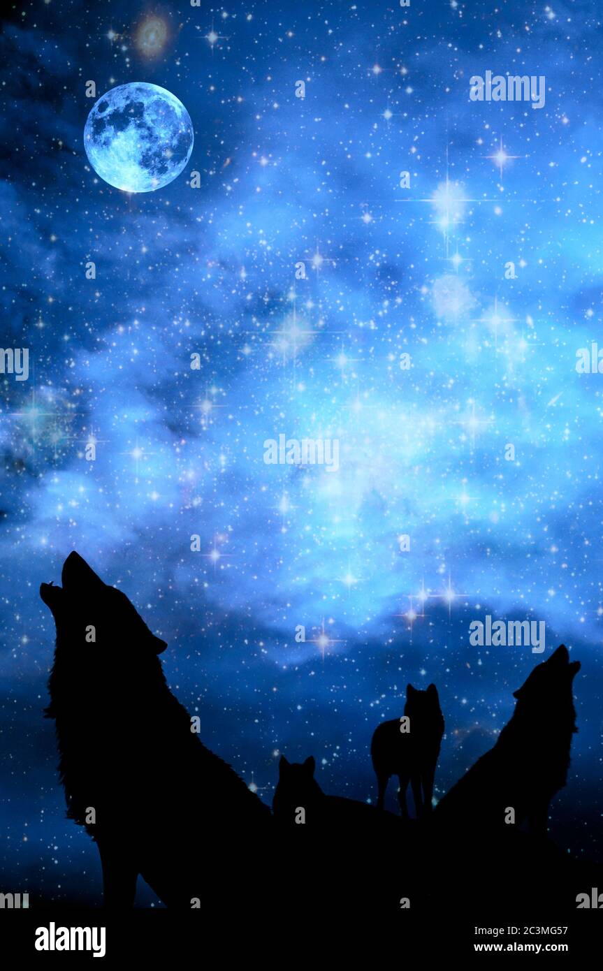 Lobos aullan a la luna fotografías e imágenes de alta resolución - Alamy