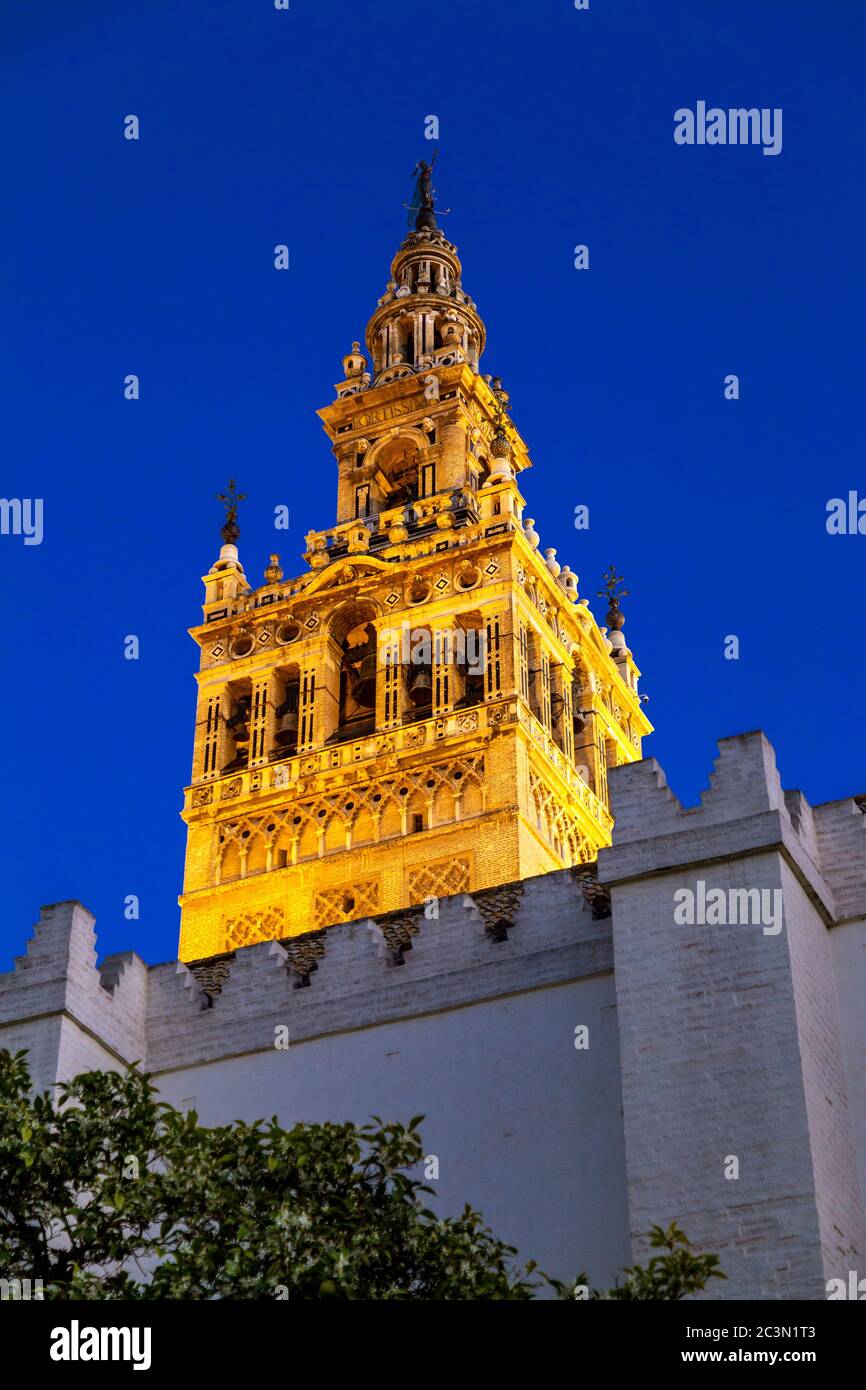 El campanario de la Giralda (la Giralda) de la Catedral de Sevilla por la noche, Sevilla, España Foto de stock