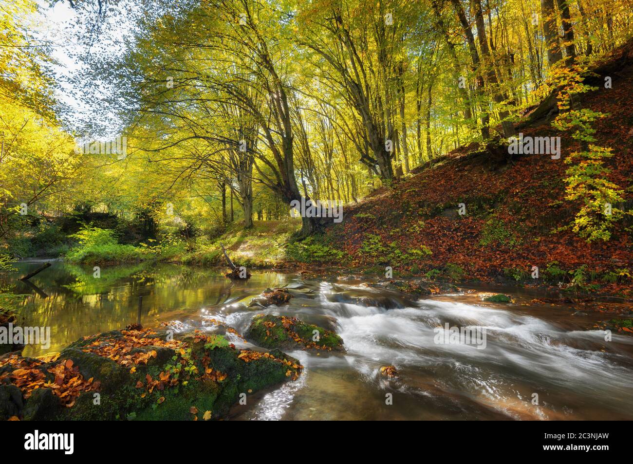 Cascada Dokuzak en la montaña Strandja, Bulgaria durante el otoño. Hermosa vista de un río con una cascada en el bosque. Magnífico otoño Foto de stock