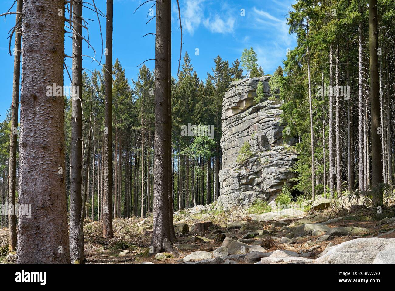 Feuersteinklippe cerca de Schierke en el Parque Nacional de Harz en Alemania Foto de stock