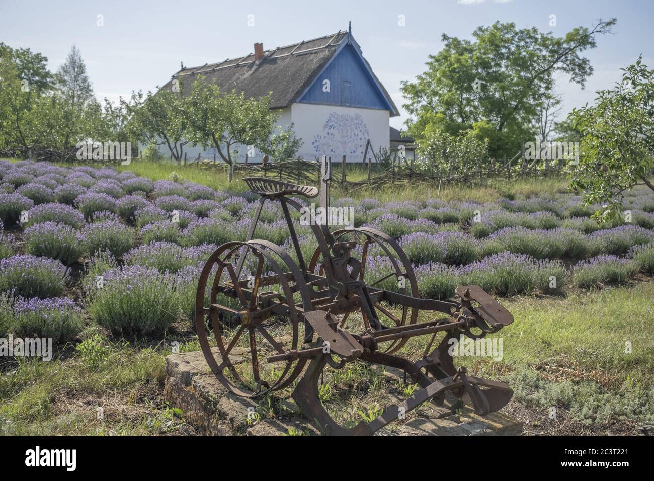 Arado del siglo XIX en el pueblo ucraniano - Museo Histórico Etnográfico en el pueblo de Frumushika Nova, región de Odessa, Ucrania, Europa del este Foto de stock