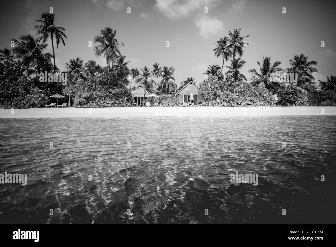 Paisaje espectacular de verano, naturaleza tropical. Proceso artístico blanco y negro, arena suave y palmeras, vista abstracta al mar. Paisaje exótico Foto de stock