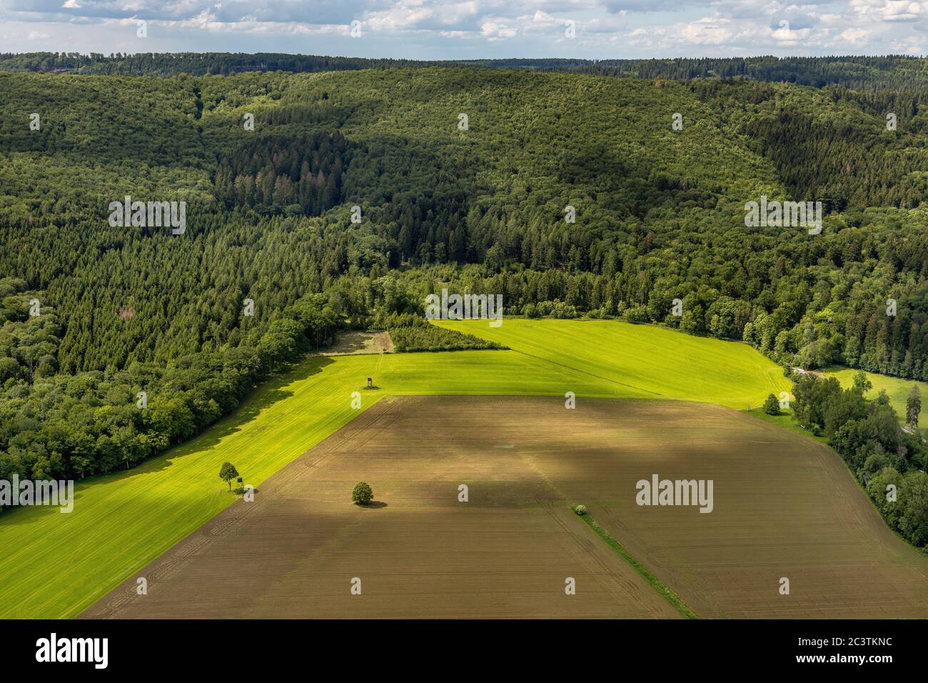 Campos y prados con puesto de caza en Arnsberger Wald al norte de Enste, 13.06.2019, Luftbild, Alemania, Renania del Norte-Westfalia, Sauerland, Meschede Foto de stock