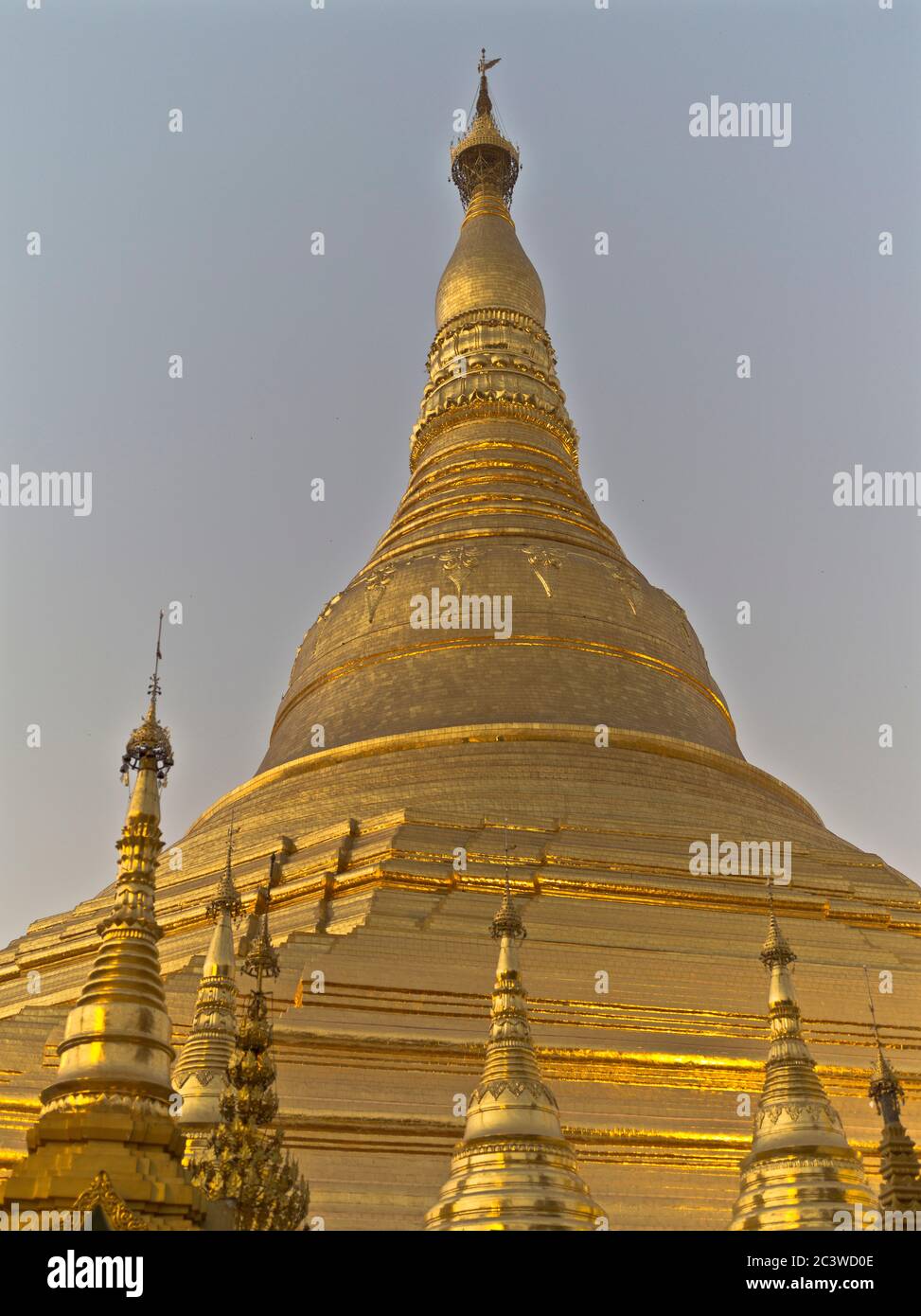 dh Shwedagon Pagoda templo YANGON MYANMAR templos budistas Gran Dagón Zedi Daw estupa dorada Hoja de oro birmano Foto de stock