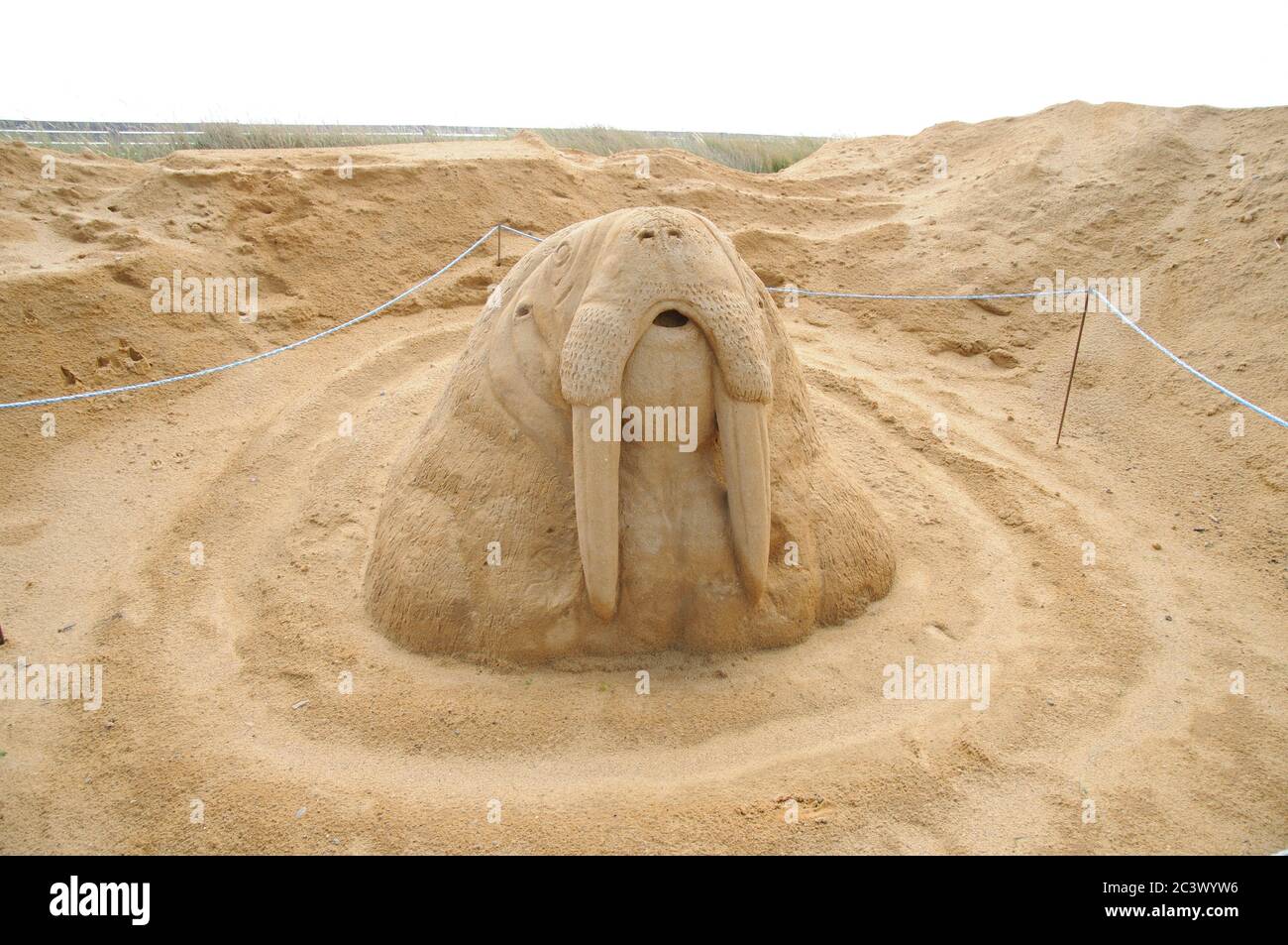 Escultura de arena de una morsa Foto de stock