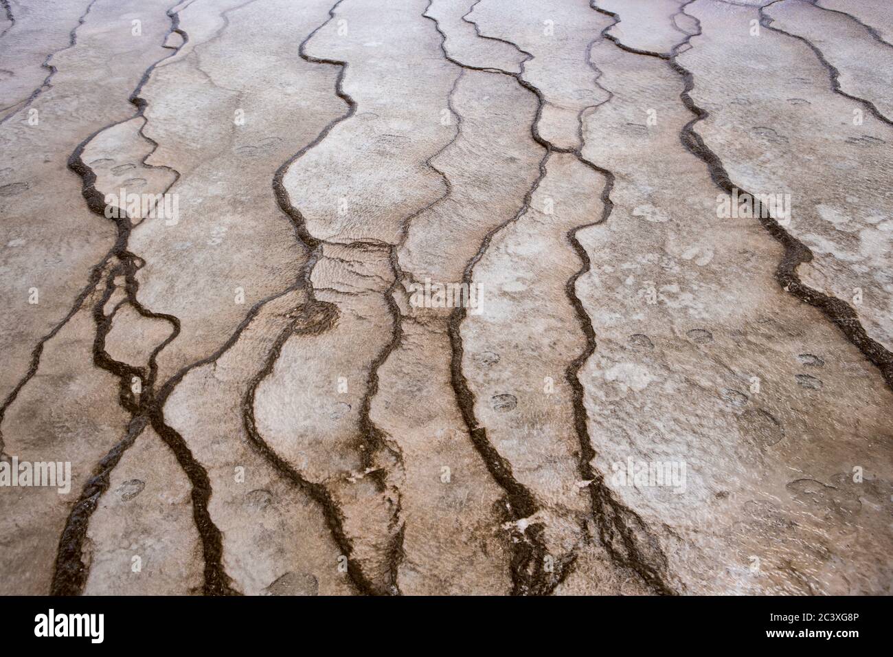 Líneas tipo abstracto en el suelo en la piscina Gran Prismática en el Parque Nacional Yellowstone. Foto de stock