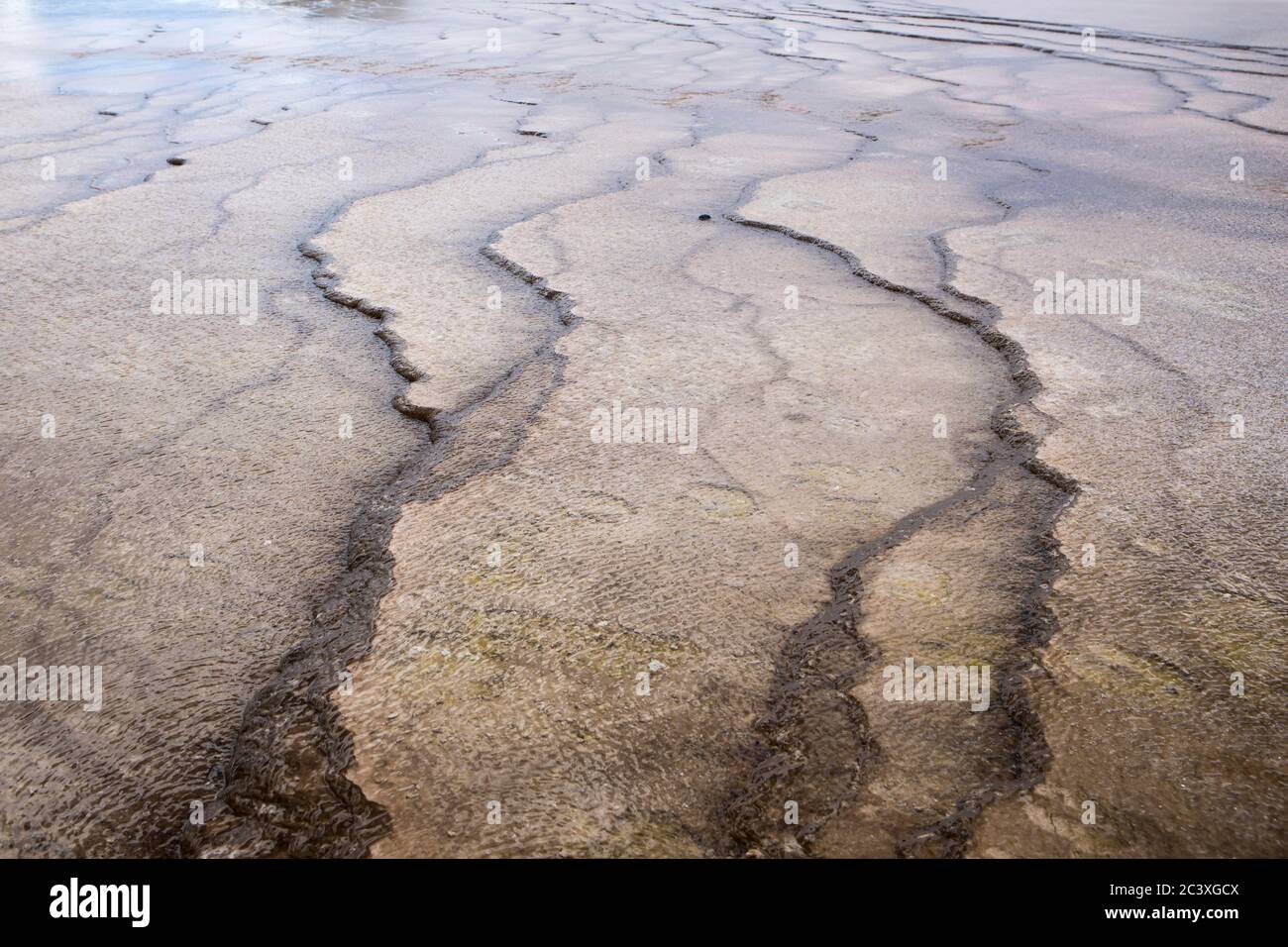 Líneas tipo abstracto en el suelo en la piscina Gran Prismática en el Parque Nacional Yellowstone. Foto de stock