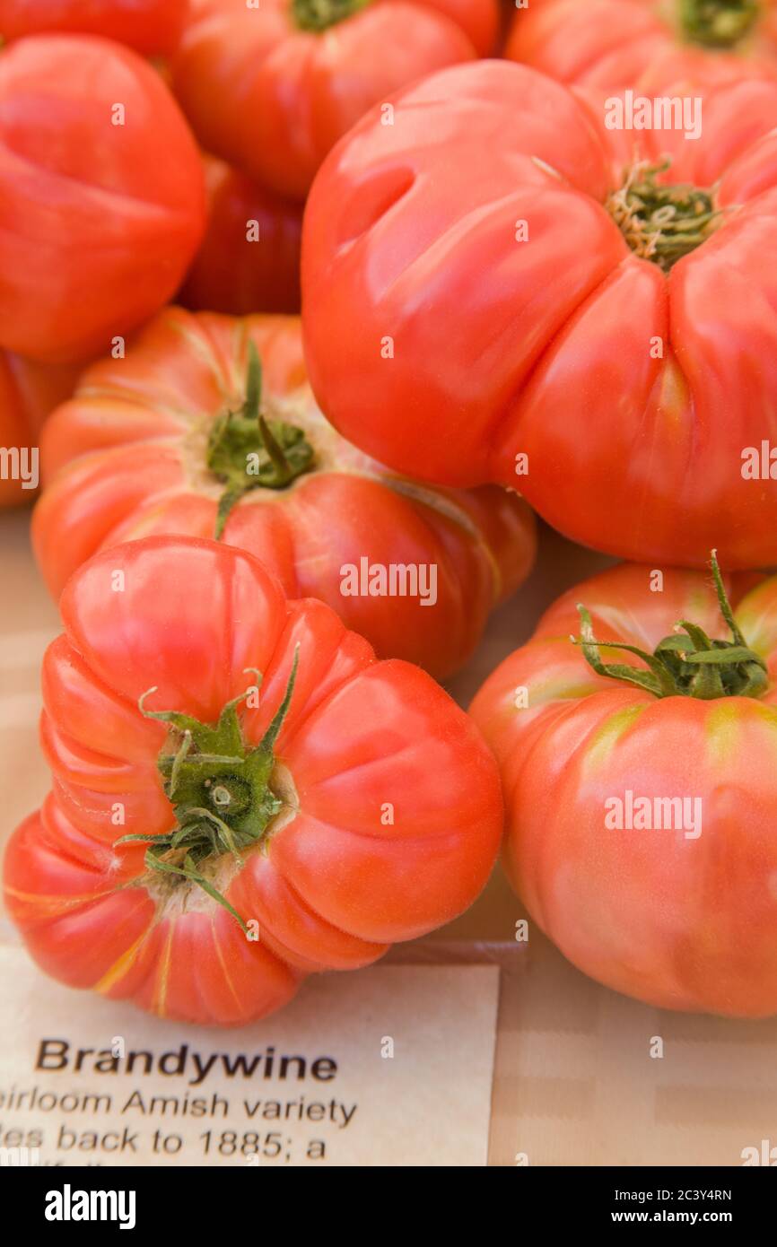 Pila de tomates Brandywine para la venta en un mercado de agricultores en Issaquah, Washington, EE.UU Foto de stock