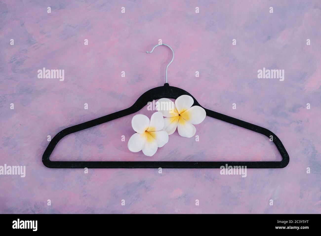 estilo y concepto de la industria de la moda, percha ropa de terciopelo en el escritorio rosa con flor Foto de stock