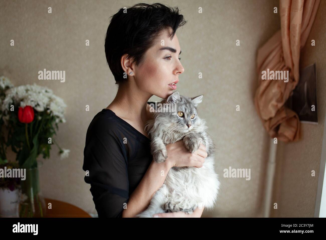 Mujer y gato en casa Foto de stock